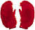 image (3)